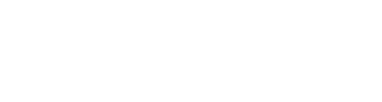 Blitzwolf