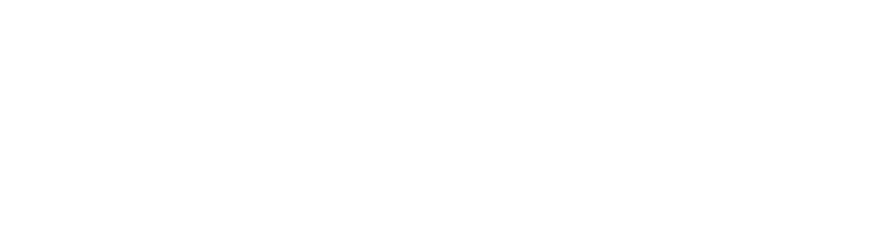 Visiotech
